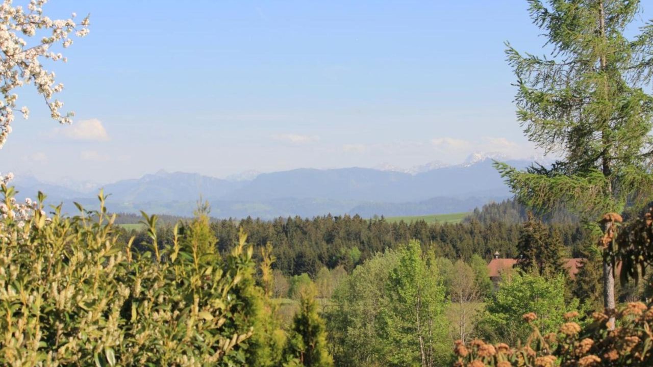 AreaSummer5KM AreaSummer5KM